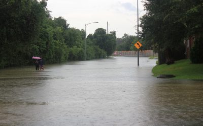 Massive Flooding In Houston, TX; A Wet May Across The South
