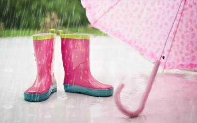 Dolores To Increase Moisture In The Southwest This Weekend