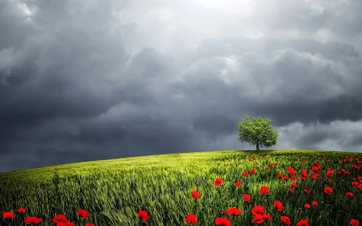 Weekend Weather Round Up