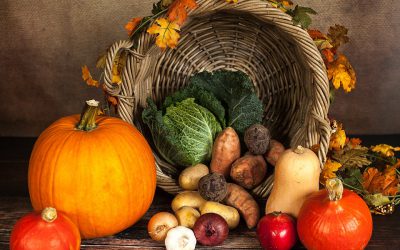 Thanksgiving Forecast – Who Could See Rain Or Snow?