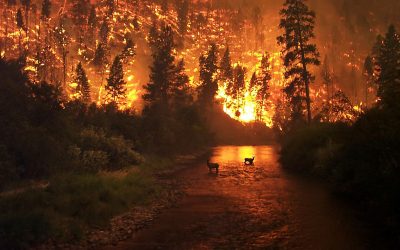 Extreme Fire Danger Northern Minnesota – Tornado Alley Not Living Up To Its Name – La Nina Fades