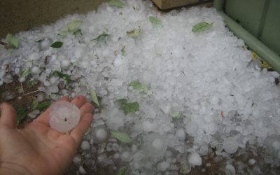 Insurance Dispute? It’s time to hire a weather expert.
