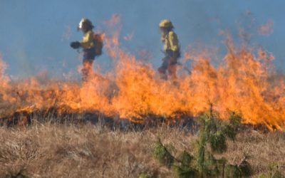 2020 U.S. Tropical Landfalls – 20 Biggest California Wildfires on Record