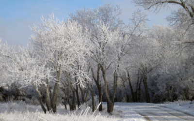 November Snows, “Eta” and “Theta” – Record Breaking Year for Atlantic Hurricanes
