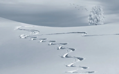 Major Storm Pounds West Coast – Snow Risk Increases Midwest to New England – Polar Punch in February?