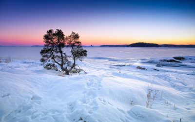 Major Storm Pounds West Coast – Odds of a Polar Punch Grow for February