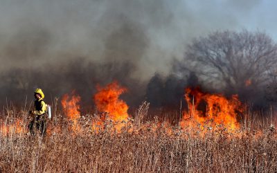 Modeling Wildfire Smoke – 5 Unusual Weather Events of 2020 – NASA Tracks Changing Climate