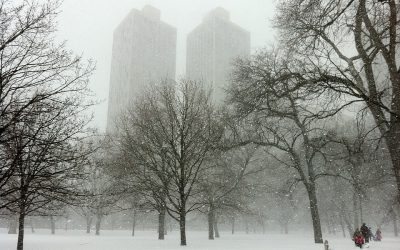 Snowstorm For The Chicago Area – National Weather Outlook For January 30, 2021