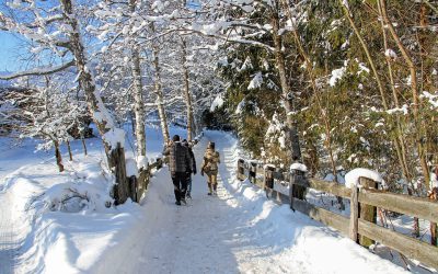 Heavy Snow In The Northeast – National Weather Outlook For January 16, 2021