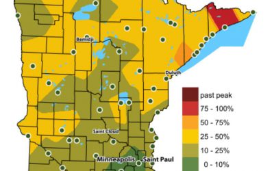 Why Do Leaves Change Colors in the Fall? Using Satellite-Based Wind Lidar to Improve Hurricane Forecasts