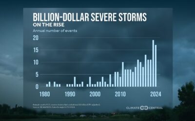 The Value of Professional Weather Consulting