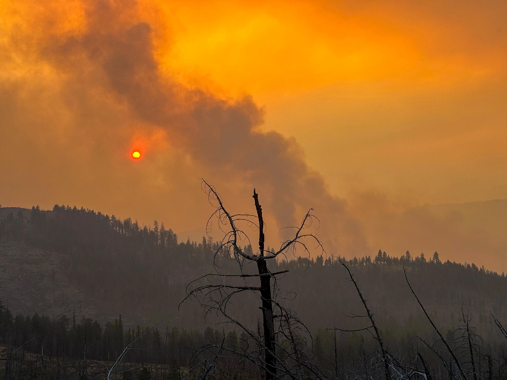 July 24 Fire Activity Rowe Creek Complex By OSFM Brett Deedon